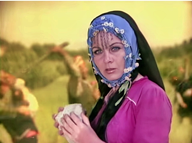 Bebeğin Beşiği Çamdan Türküsü&nbsp;Hikayesi