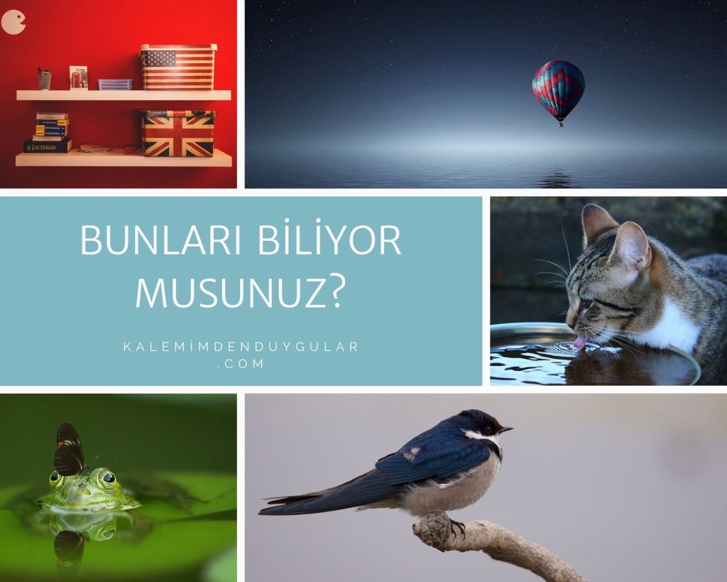 Bunları Biliyor Musunuz?
