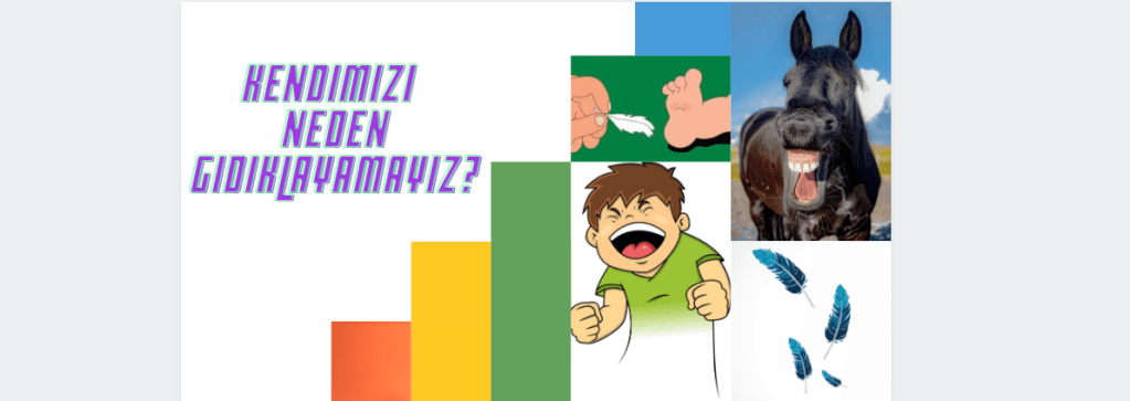 Kendimizi Neden Gıdıklayamayız?