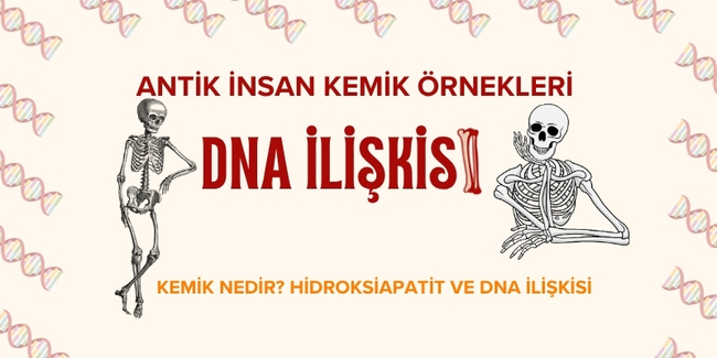 Antik İnsan Kemik Örnekleri İle&nbsp;Kimliklendirme